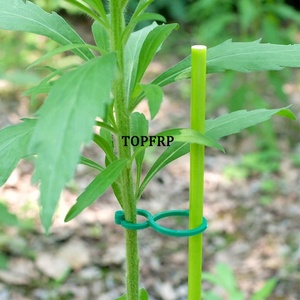 Durable Solid Fiberglass <b>Rod</b> Pole Fiberglass Stakes Stick Tree Stakes Fiberglass Plant Stakes - Product Image 4