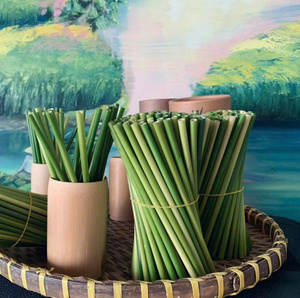 Eco-Friendly Biodegradable Disposable Grass Straw <b>Drinkware</b> <b>Accessories</b> Custom Logo Sustainable Bar Essentials for USA EU Market - Product Image 5