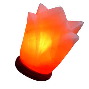 Lámpara de Sal Rosa del Himalaya Hecha a Mano con Forma de Flor Natural, Decoración para el Hogar, Artesanía de Pakistán en Venta - Product Image 3