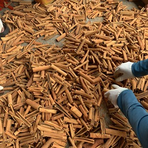 Nueva cosecha de Casia/rama de canela rica en sabor #1 Calidad Origen de Vietnam Precio a granel Buen embalaje Contacto ahora + 84 865216698 - Product Image 3