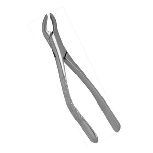 ARISTON INTERNATIONAL Pinzas de Extracción Dental Manuales de Acero Inoxidable de Alta Calidad, Pinzas de Extracción Pedo Cowhorn, CE - Product Image 4