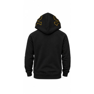 Sweat-shirt à capuche imprimé lettres grecques Alpha Phi Alpha pour hommes, pull en coton noir à manches raglan - Product Image 3