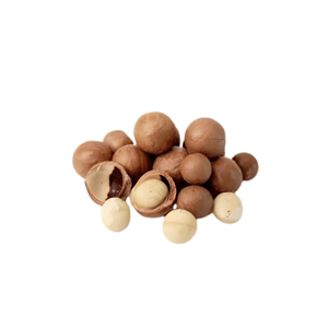 <b>Big</b> Sale Best Selling Vietnam Manufacturer Supply Best Quality Delicious Raw Macadamia Packed in 5kg Bag - Product Image 2
