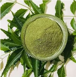 Polvo de Neem para Múltiples Usos, Proveedor de Polvo Herbal a Granel para Uso Diario en la Piel al Mejor Precio por el Fabricante de Polvos Herbales - Product Image 4