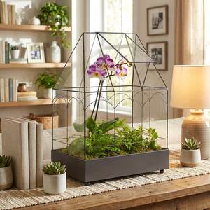 Terrario Personalizado en Forma de Cabaña de Metal y Vidrio, Macetero Moderno de Vidrio para Plantas de Interior, Suculentas, Plantas Aéreas y Terrarios DIY - Product Image 1