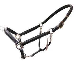 Nouvel Arrivage FAB Licol en Cuir Véritable pour Cheval, Couleur/Taille/Logo Personnalisables, Ferrures en Laiton Massif pour Entraînement et Compétition - Vente en Gros - Product Image 5