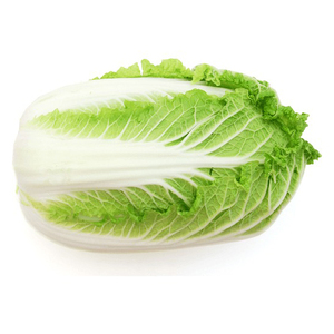 Apio y repollo frescos al por mayor para hacer kimchi - Product Image 1