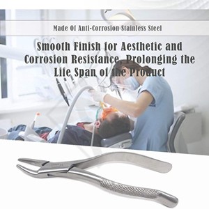 Forceps d'extraction dentaire manuels en acier inoxydable Accuram Wholesale, usage professionnel, certifiés CE Classe I, instruments ergonomiques - Product Image 6