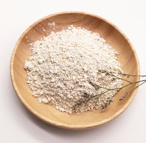Protéine de riz en gros de qualité supérieure, qualité alimentaire, approvisionnement en vrac, prêt à l'exportation - Product Image 3