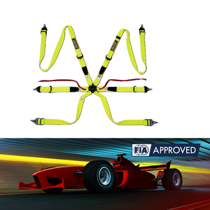 Arnés Homologado por la FIA para Pilotos TBRACING, Logotipo Personalizado, Proveedor OEM ODM, Ajuste Ergonómico a la Cadera y Ajuste del Cinturón de Seguridad - Product Image 1