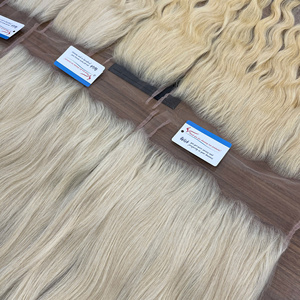 ผมต่อแบบลูกไม้สีบลอนด์คุณภาพสูง HD Virgin Remy แท้จากรัสเซีย คุณภาพพรีเมียม ผมแท้แบบเย็บสองชั้นทั้งเส้น - Product Image 1