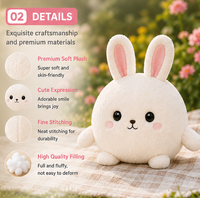Peluche Lapin Mignon en Tissu Ultra Doux avec Rembourrage en Coton PP Brodé - Cadeau d'Anniversaire pour Enfants, Anti-Stress, Décoration de Crèche