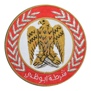 Usine personnalisée brodé aile Badge mode or Motif patchs vestes chapeaux-personnalisé en gros mode Badges - Product Image 6