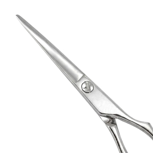 Ciseaux de coiffure professionnels en acier inoxydable en gros, ciseaux de barbier, fabricant de marques privées, Pakistan - Product Image 6