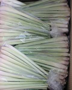 Hierba Limón Congelada IQF Premium, Entera, Natural, Grado A, Proveedor Vietnamita Viet Delta - Product Image 2