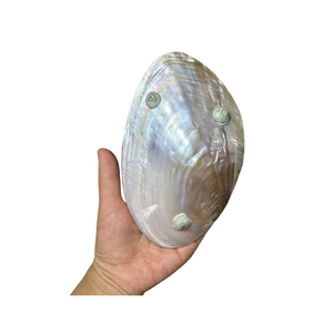 Assiette en nacre naturelle du Vietnam, fabriquée à partir de coquillages, pour la présentation de bijoux, la décoration de la maison, les événements et les cadeaux - Product Image 1