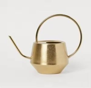 Arrosoir en métal durable, résistant à la rouille, en acier inoxydable, outil d'arrosage pour plantes, pour jardin, intérieur et extérieur - Product Image 2