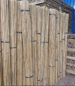 High Grade Bamboo <b>Pole</b> Cheap Price LOW TAX -Wholesale Raw Bamboo - <b>Garden</b> Support - Product Image 1
