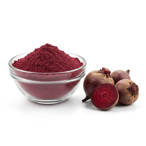 Premium Quality Beetroot Powder Natural Food Grade Bulk Wholesale Supplier Manufacturer and Exporter from India - Product Image 1