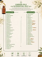 Huile essentielle de menthe poivrée, huile parfumée à la menthe, huile aromatique à la menthe fraîche pour la fabrication de savons, de bougies et de cosmétiques, fournisseur en gros