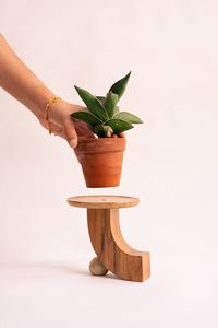Wholesale <b>Mini</b> Wood Plant Stand Bundle Modern Minimal Handmade Eco-Friendly Tabletop Indoor Use Premium Quality Low Housewarming - Product Image 2