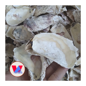 Poudre de coquille d'huître pure, granulométrie 100-200, source de carbonate de calcium, coquilles marines blanches concassées pour le ciment, la brasserie, le filtrage et l'entretien - Product Image 1