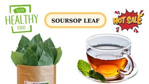 ใบชื่นชมพู่ที่อุดมไปด้วยสารต้านอนุมูลอิสระ |   ใบกระดังงาแห้งเกรดพรีเมียมสำหรับชงชาบำรุงภูมิคุ้มกัน - Product Image 5