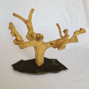 Perchoir à oiseaux en bois Thanh Tung Thinh, base rectangulaire en bois flotté naturel, décoration intérieure, fabriqué au Vietnam - Product Image 3