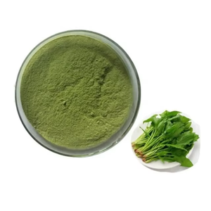 Espinaca en Polvo Liofilizada FD, 0% Humedad, 2 Años de Vida Útil, Empaque a Granel, Grado Alimenticio, Hecho en Maharashtra - Product Image 3