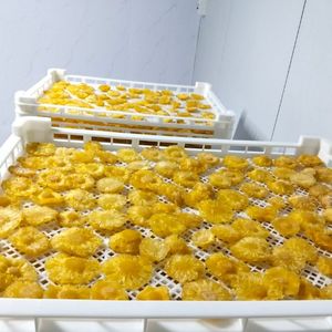 BEST-SELLER 2026 Blue Lotus Farm Snack d'ananas séché FD sucré, prêt à consommer, conservé au sirop, 100% ananas, emballé sous vide, en vrac - Product Image 1