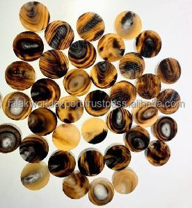 Botones de cuerno de buey naturales para prendas de vestir, botones de cuerno de búfalo en blanco para abrigo, Chaquetas vaqueras de Falak World Export - Product Image 4