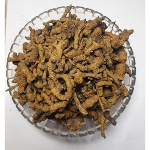 Poudre de racine de Coptis Teeta - Fabricant Patil Foods India - Product Image 1