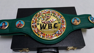 Ceinture de championnat en cuir de vachette de haute qualité, personnalisable OEM, avec boucle à double ardillon pour la boxe, le Jiu-Jitsu et le karaté - Logo couleur personnalisé - Product Image 2
