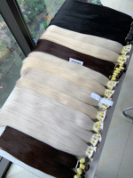 Extensions de cheveux vierges vietnamiens à cuticules intactes en vrac Nasa Hair Modèle Andy 1kg Couleurs # 1- # 613 22-40 pouces Prix d'usine