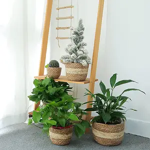 室内室外植物用3尺寸海草植物篮，植物用塑料衬里的天然植物篮，装饰植物盆，