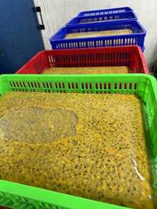 น้ำผลไม้เสาวรสแช่แข็งสีเหลืองธรรมชาติ สำหรับผลิตน้ำอัดลม วัตถุดิบทำไซรัป ไม่มีเมล็ด ความหวานสูง 13 - 15  ลดราคาพิเศษ - Product Image 3