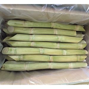 Palitos de Caña de Azúcar Congelados, Producto Natural Dulce y Fresco, Empaque a Granel Conveniente para Aplicaciones Comerciales de Servicio de Alimentos - Product Image 3