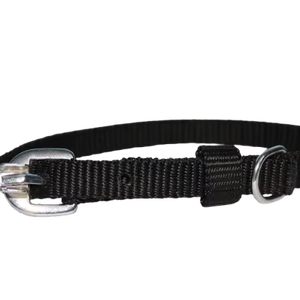 Collier ajustable de qualité supérieure au design esthétique pour chiens de petite à grande taille de Divine International - Product Image 1