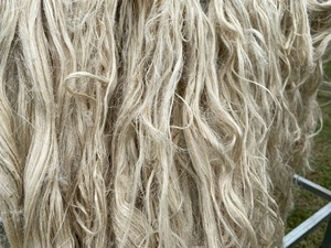 Meilleures ventes – Fabriqué au Vietnam – Fibres de feuilles d'ananas naturelles séchées de haute qualité, jaune clair, longueur 70-120 cm, en vrac - Product Image 6