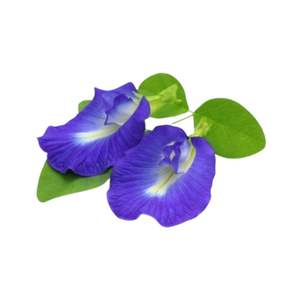 Shankupusphi Extracto de hierbas de grado alimenticio en polvo Solvente vitamínico activo extraído en extractos de plantas empaquetados en tambor - Product Image 1