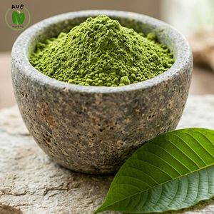 Producto Popular AuE Purity Organic 1.5% MIT Polvo de Hoja Herbal Tailandesa 120 Mesh Secado al Aire Caliente Grado Alimenticio Cultivo al Vacío - Product Image 3