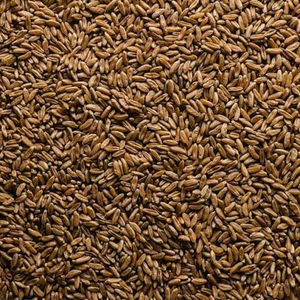 Granos de Trigo Blando de Primera Calidad al por Mayor, Exportación a Granel, Grado Alimenticio, Calidad Premium, Listos para Enviar - Product Image 3