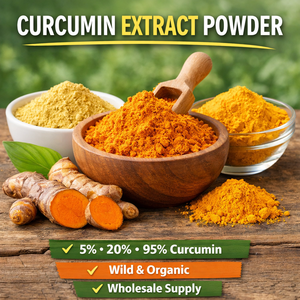 Extracto de curcumina premium en polvo de raíz de cúrcuma natural |   Disponible en 5%, 20% y 95% |   Fuente Salvaje |   Mejor Precio al por Mayor - Product Image 1