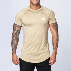 Camiseta Deportiva al por Mayor, Cómoda, Ligera, de Corte Regular, Color Beige, Cuello Redondo, Dobladillo Curvo, Raglán, 100% Algodón, Lisa - Product Image 1