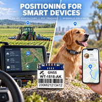 Module de positionnement intégré avec antenne céramique GNSS GPS BDS GLONASS Galileo QZSS pour le suivi des véhicules, approvisionnement en gros WT-1818-AK