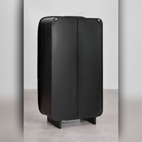 Armoire en bois de manguier Vandana Amber Layer