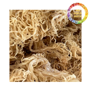 Musgo Marino Seco de Vietnam, Exportación a Granel, Superalimento Vegano Saludable |   Comida saludable - Product Image 1