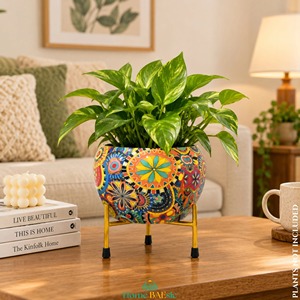 Macetas y Contenedores de Jardín de Hierro MTK al por Mayor, Ecológicos y Duraderos con Recubrimiento en Polvo para Compradores Internacionales - Product Image 1