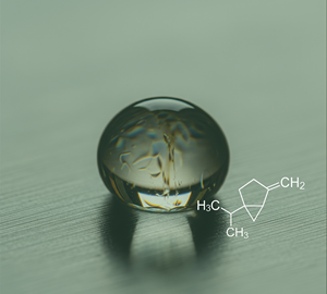 Sabinène Naturelle 75%+ (NM-008) Van Aroma - Product Image 1