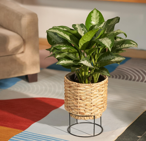 Pots de rangement au sol en jacinthe d'eau de style rétro, fabriqués au Vietnam, avec poignées, tissés à la main, écologiques - Product Image 3